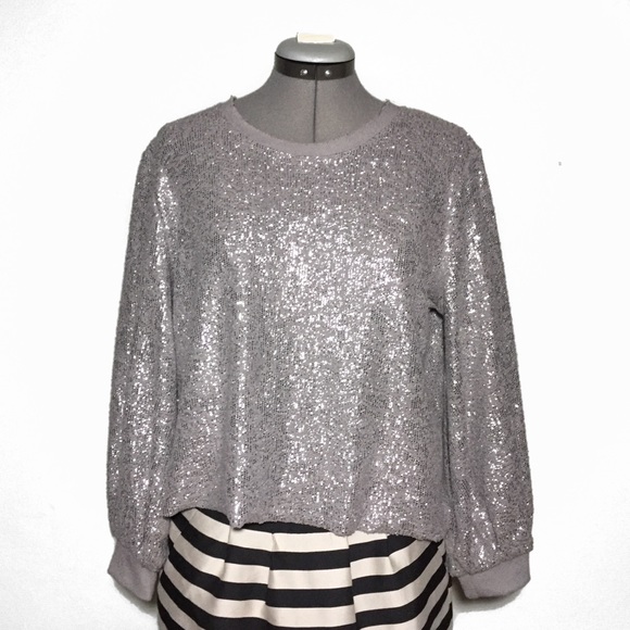 Anthropologie Sweaters - NWTs Dolan (Anthro) Silver Gray Sweater Petite M